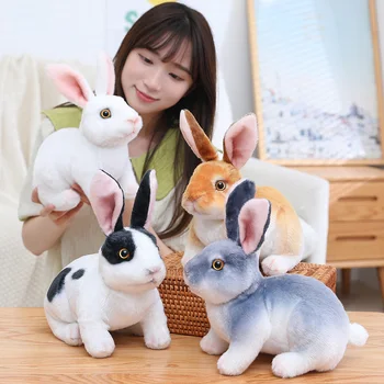 Realistlik Kawaii Küülikud -, Plüüš-Mänguasi, Simulatsioon Loomade Armas Valge Hall Bunny Doll Reaalne Elu Mudel Rekvisiidid, Tüdrukud, Lapsed Sünnipäeva Kingitus