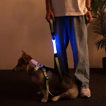 Uus LED Light-Up Käepaela Led Laksu Käevõrud Vilkuv Valgus Käevõrud Kuma Pimedas Peegeldav Armband Jalgsi Koer