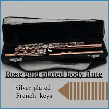High-end AOQI flööt prantsuse stiilis hõbedane katmine võtmed Roos kullatud kere materjal C tooni flööt kohtuasjas
