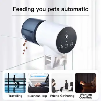 Automaatne Loomade Investor Ajastus Nuppu Kontrolli Büroo Söötmine Dispenser
